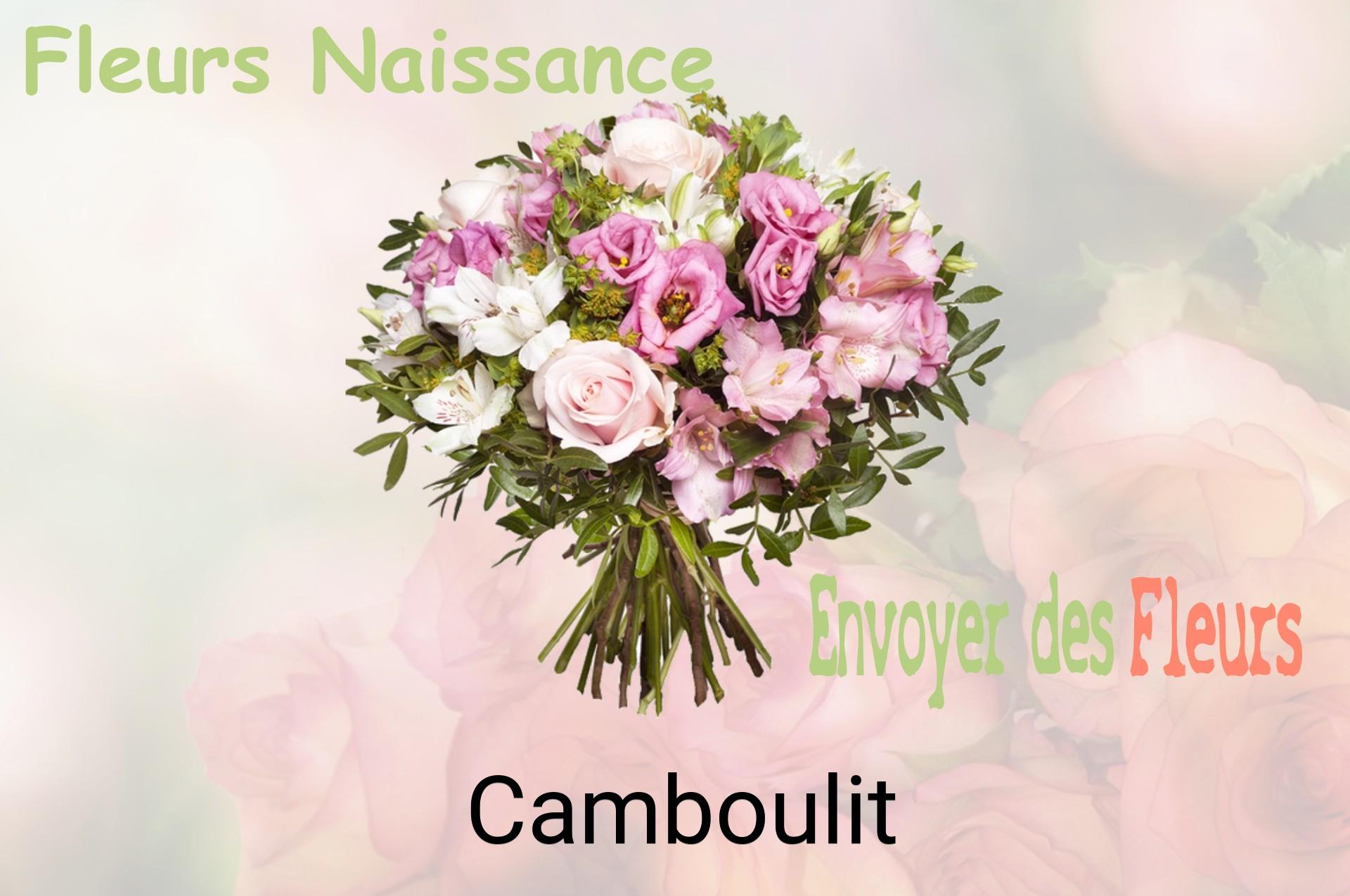 Bouquet de fleurs de naissance livré à Camboulit