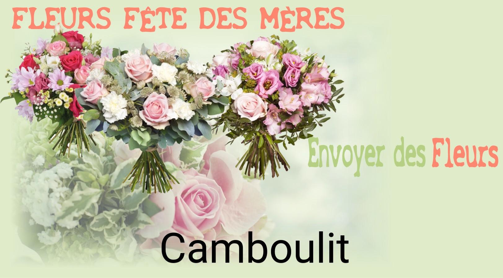 Bouquet de Fête des Mères livré à Camboulit